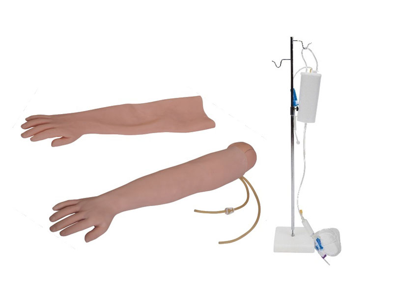 高级手臂静脉穿刺及肌肉注射训练模型(可换外皮) 