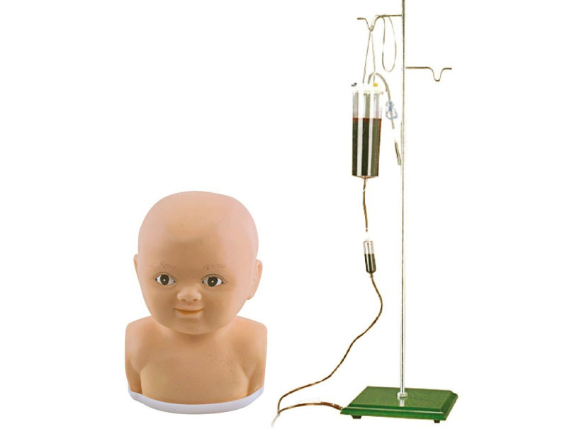 婴儿头部注射模型 